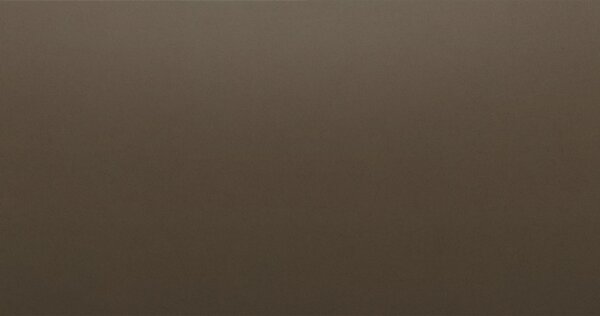 Кварцевый камень Silestone  Unsui